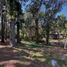  Land for sale in Villa Gesell, Buenos Aires, Villa Gesell