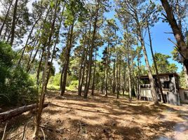  Land for sale in Villa Gesell, Buenos Aires, Villa Gesell