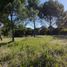  Land for sale in Villa Gesell, Buenos Aires, Villa Gesell