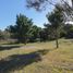  Land for sale in Villa Gesell, Buenos Aires, Villa Gesell