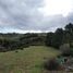  Terreno (Parcela) en venta en Los Lagos, Castro, Chiloé, Los Lagos