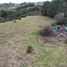  Terreno (Parcela) en venta en Los Lagos, Castro, Chiloé, Los Lagos