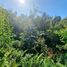  Land for sale in Chile, Llanquihue, Llanquihue, Los Lagos, Chile