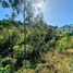  Land for sale in Chile, Llanquihue, Llanquihue, Los Lagos, Chile