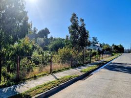  Land for sale in Chile, Llanquihue, Llanquihue, Los Lagos, Chile