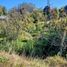  Land for sale in Chile, Llanquihue, Llanquihue, Los Lagos, Chile