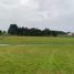  Land for sale in Llanquihue, Los Lagos, Puerto Varas, Llanquihue