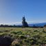  Terreno (Parcela) en venta en Chile, Puerto Varas, Llanquihue, Los Lagos, Chile