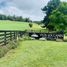  Land for sale in Chile, Puerto Octay, Osorno, Los Lagos, Chile