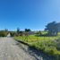  Land for sale in Chile, Puerto Montt, Llanquihue, Los Lagos, Chile