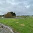  Land for sale in Chile, Puerto Varas, Llanquihue, Los Lagos, Chile