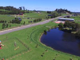 Land for sale in Chile, Puerto Varas, Llanquihue, Los Lagos, Chile