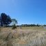  Land for sale in Llanquihue, Los Lagos, Puerto Varas, Llanquihue