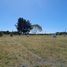  Land for sale in Llanquihue, Los Lagos, Puerto Varas, Llanquihue