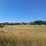  Land for sale in Llanquihue, Los Lagos, Puerto Varas, Llanquihue