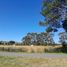  Land for sale in Llanquihue, Los Lagos, Puerto Varas, Llanquihue