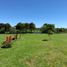  Land for sale in Llanquihue, Los Lagos, Puerto Varas, Llanquihue