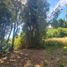  Land for sale in Llanquihue, Los Lagos, Puerto Varas, Llanquihue