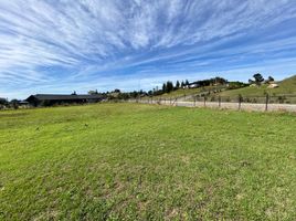  Land for sale in Chile, Puerto Varas, Llanquihue, Los Lagos, Chile