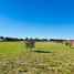  Land for sale in Llanquihue, Los Lagos, Puerto Varas, Llanquihue