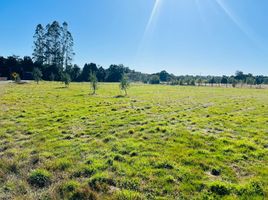  Land for sale in Llanquihue, Los Lagos, Puerto Varas, Llanquihue