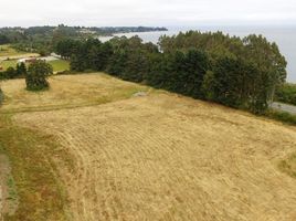  Land for sale in Llanquihue, Los Lagos, Puerto Varas, Llanquihue