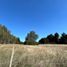  Land for sale in Llanquihue, Los Lagos, Puerto Varas, Llanquihue