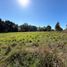  Land for sale in Llanquihue, Los Lagos, Puerto Varas, Llanquihue