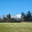  Land for sale in Chile, Puerto Varas, Llanquihue, Los Lagos, Chile