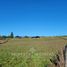  Land for sale in Chile, Llanquihue, Llanquihue, Los Lagos, Chile