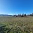  Land for sale in Chile, Llanquihue, Llanquihue, Los Lagos, Chile