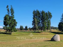  Terreno (Parcela) en venta en Llanquihue, Los Lagos, Puerto Montt, Llanquihue