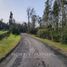  Terreno (Parcela) en venta en Llanquihue, Los Lagos, Puerto Montt, Llanquihue