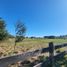  Land for sale in Llanquihue, Los Lagos, Puerto Varas, Llanquihue