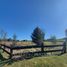  Land for sale in Llanquihue, Los Lagos, Puerto Varas, Llanquihue