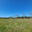  Land for sale in Llanquihue, Los Lagos, Puerto Varas, Llanquihue