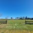  Land for sale in Llanquihue, Los Lagos, Puerto Varas, Llanquihue