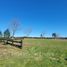  Land for sale in Llanquihue, Los Lagos, Puerto Varas, Llanquihue