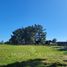  Land for sale in Llanquihue, Los Lagos, Puerto Varas, Llanquihue