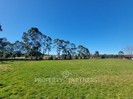  Land for sale in Llanquihue, Los Lagos, Puerto Varas, Llanquihue