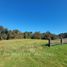  Land for sale in Chile, Puerto Varas, Llanquihue, Los Lagos, Chile