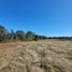  Land for sale in Chile, Puerto Varas, Llanquihue, Los Lagos, Chile