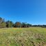  Land for sale in Chile, Puerto Varas, Llanquihue, Los Lagos, Chile