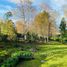 6 Habitación Casa en alquiler en Los Lagos, Valdivia, Los Lagos