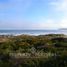  Land for sale in Los Lagos, Maullin, Llanquihue, Los Lagos