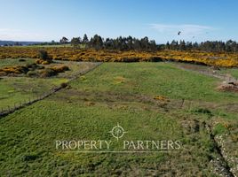  Terreno (Parcela) en venta en Chile, Puerto Varas, Llanquihue, Los Lagos, Chile