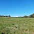 Terreno (Parcela) en venta en Chile, Puerto Varas, Llanquihue, Los Lagos, Chile