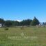  Land for sale in Llanquihue, Los Lagos, Puerto Varas, Llanquihue