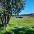  Land for sale in Llanquihue, Los Lagos, Puerto Varas, Llanquihue