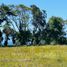  Terreno (Parcela) en venta en Llanquihue, Los Lagos, LLanquihue, Llanquihue